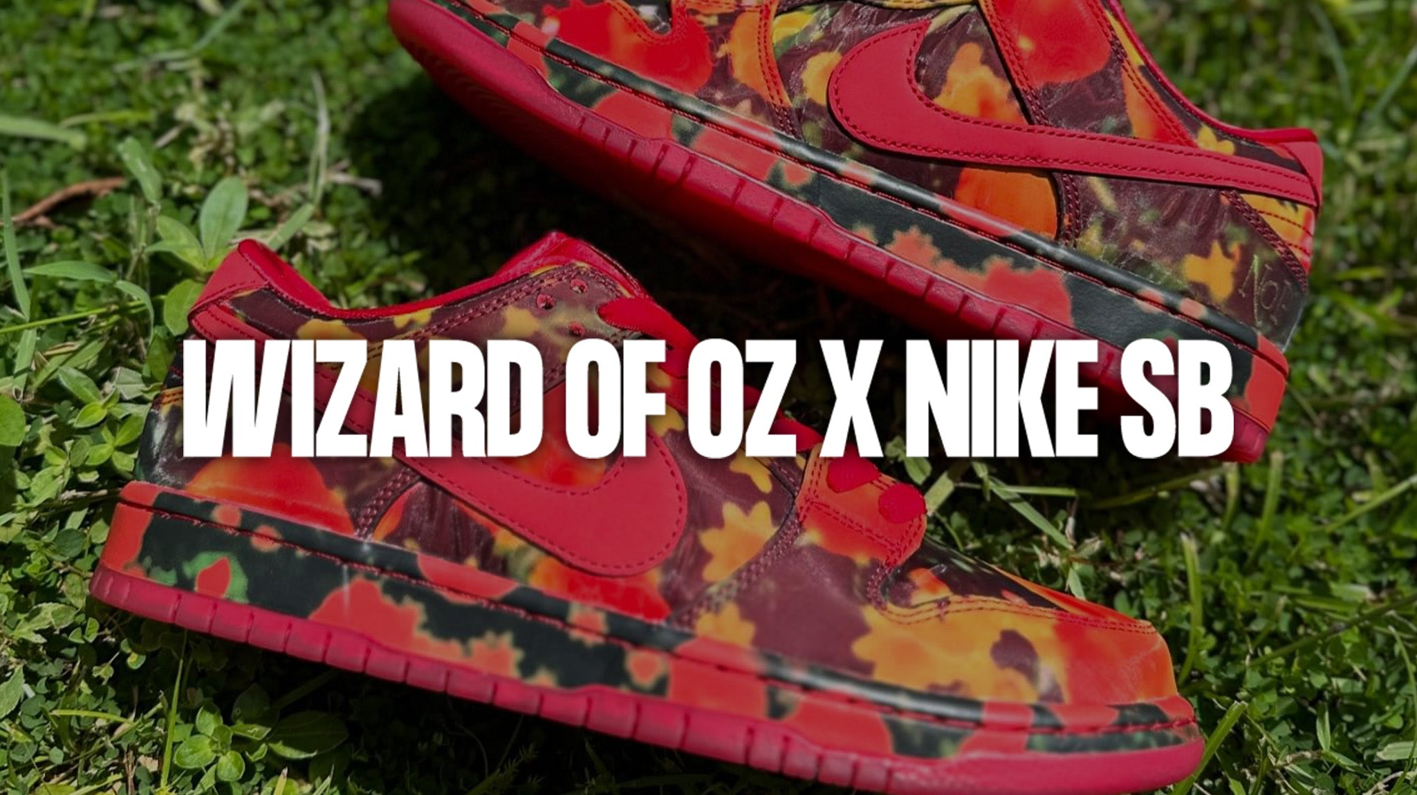 Wizard of Oz x Nike SB