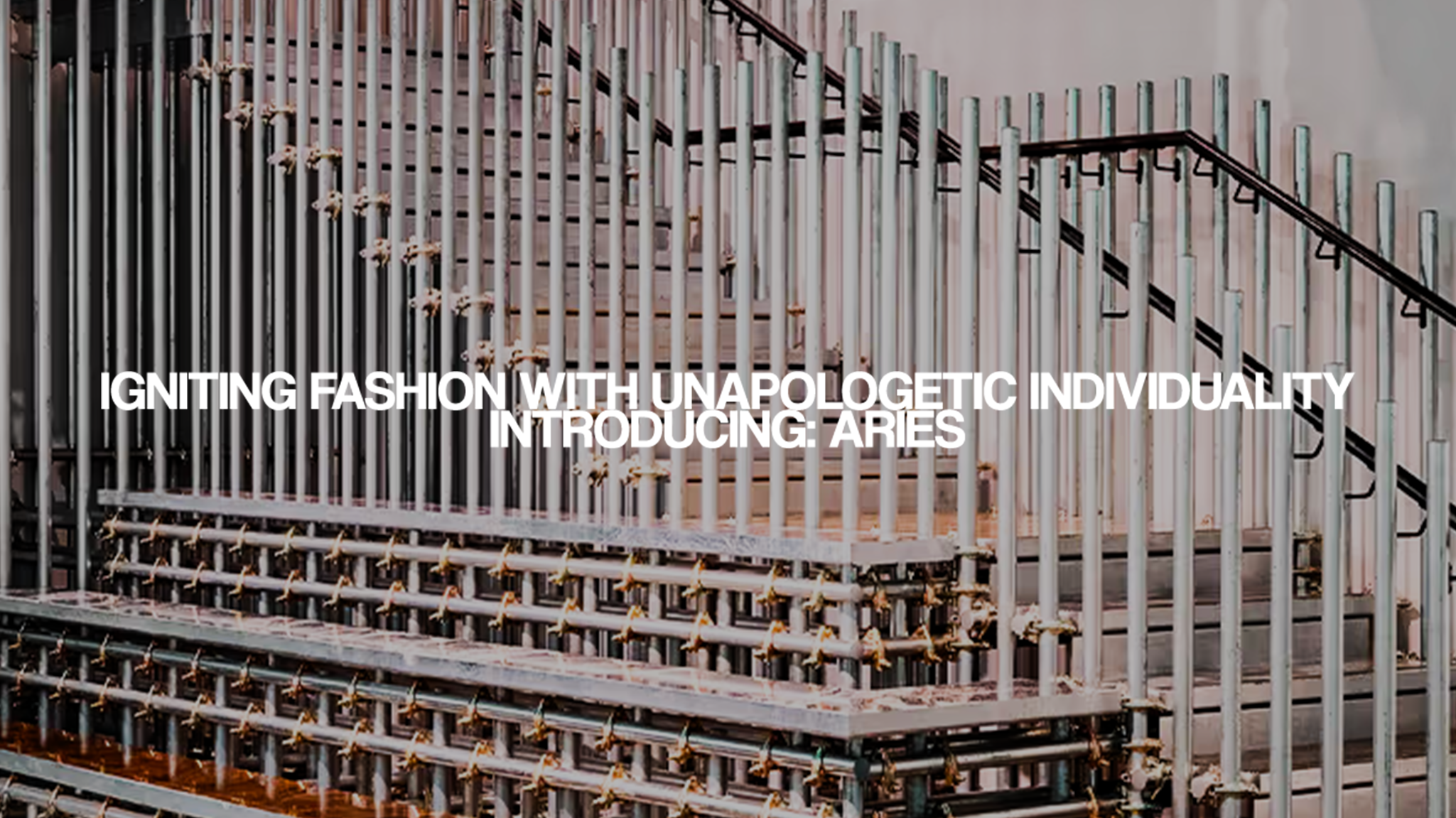 Igniting Fashion with Unapologetic Individuality Introducing: Aries