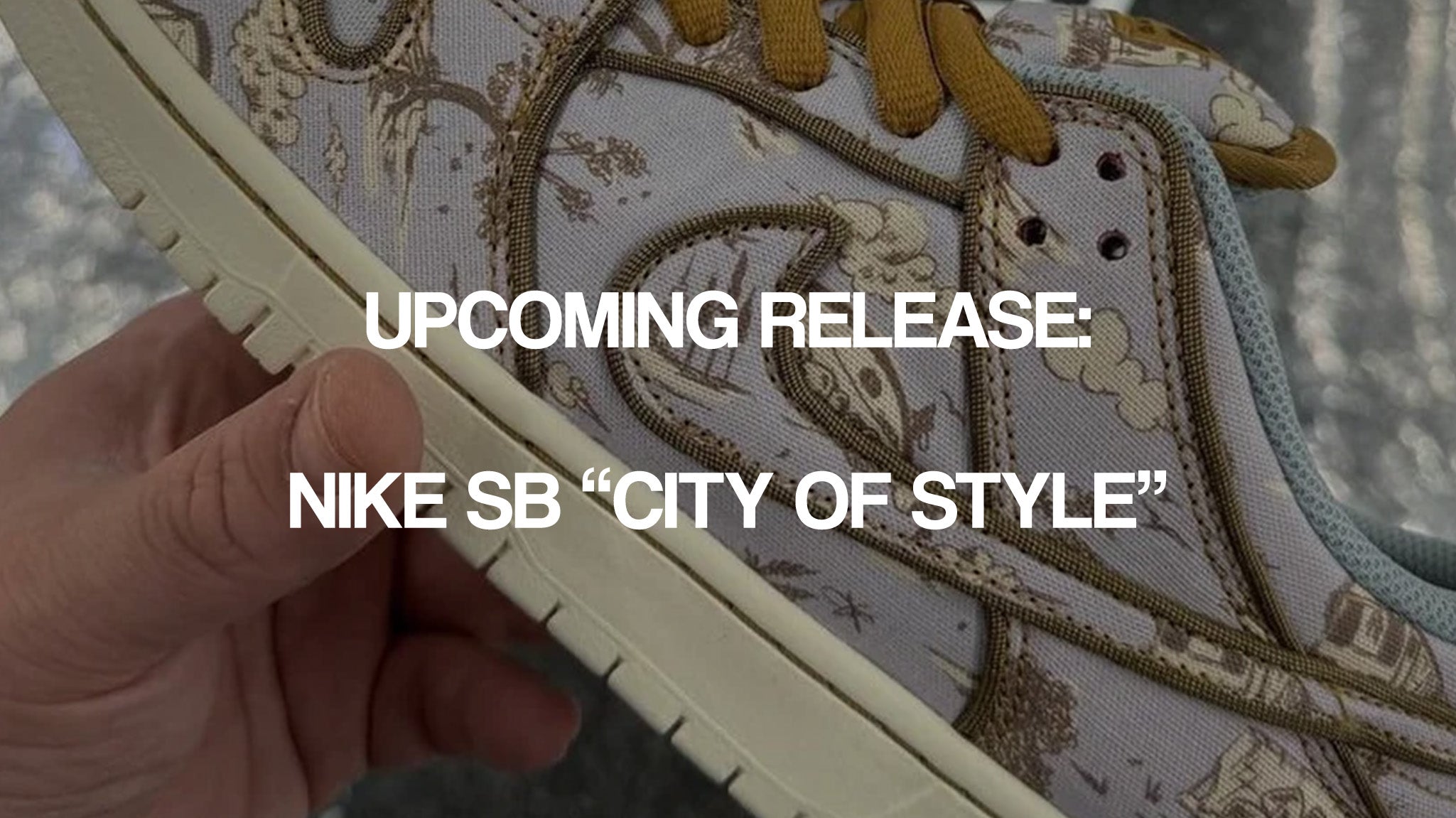 Nike SB “City of Style”