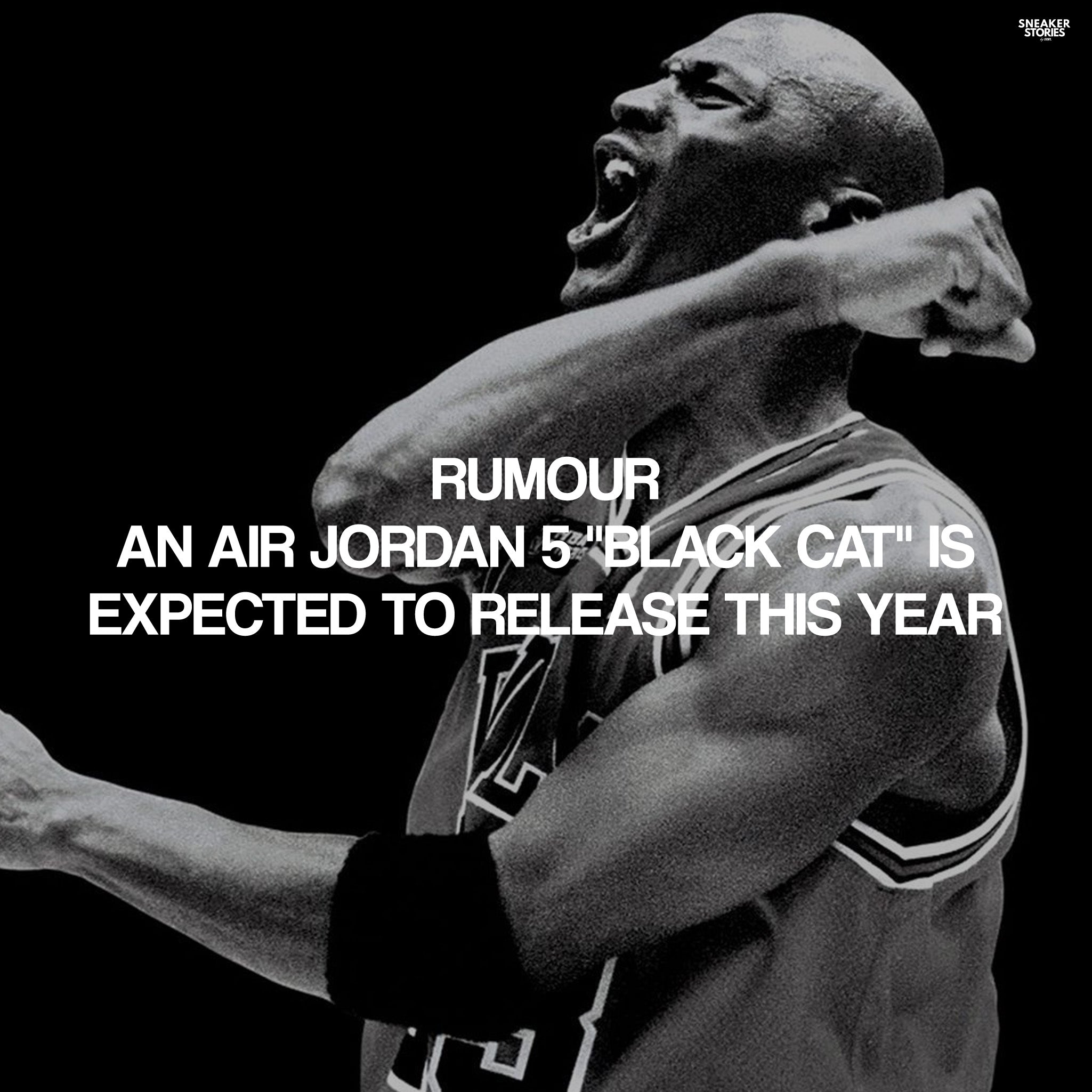 jordan black cat 5