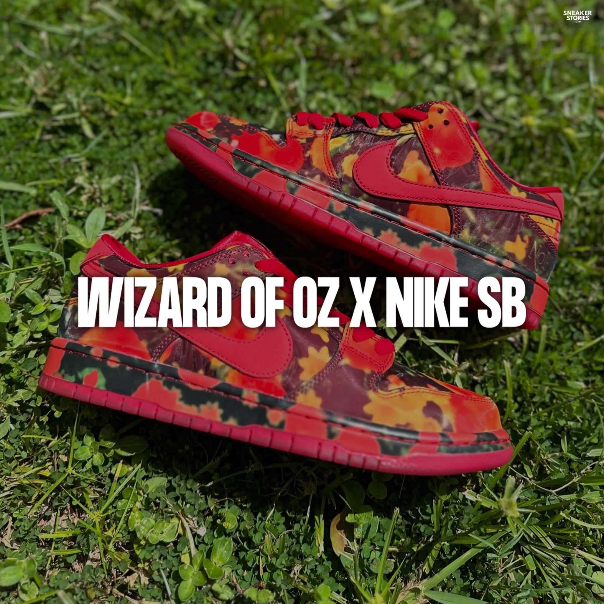 Wizard of Oz x Nike SB – Story Cape Town
